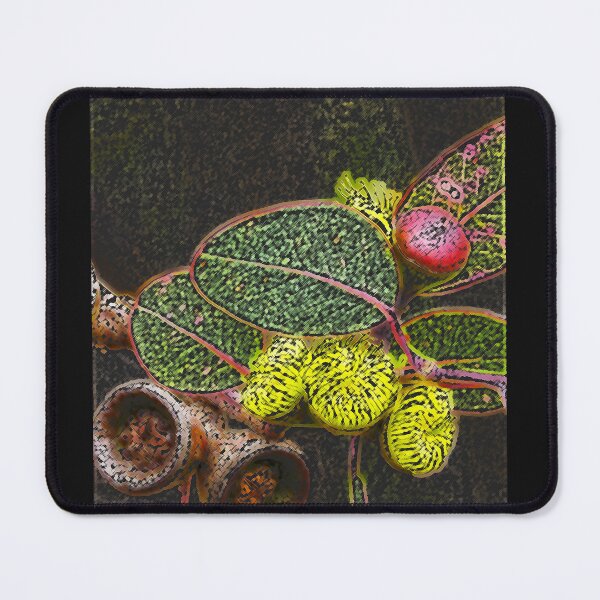 Item preview, Gum Blossom & Gumnuts (Eucalyptus), Bega Valley, Australia designed and sold by Cobargo South Coast.