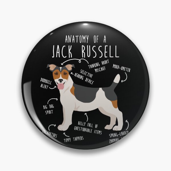 Artikelvorschau, Jack Russell Terrier Hundeanatomie entworfen und verkauft von Clara Hollins.