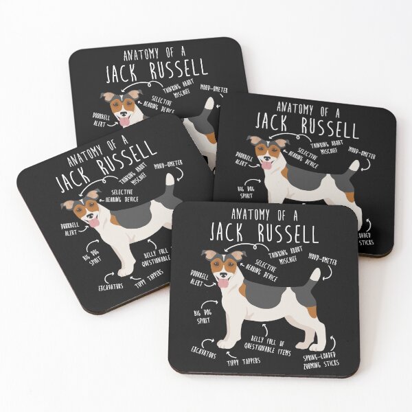 Item preview, Jack Russell Terrier Dog Anatomy designed and sold by Clara Hollins.