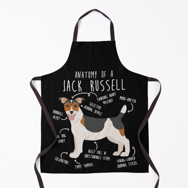 Item preview, Jack Russell Terrier Dog Anatomy designed and sold by Clara Hollins.