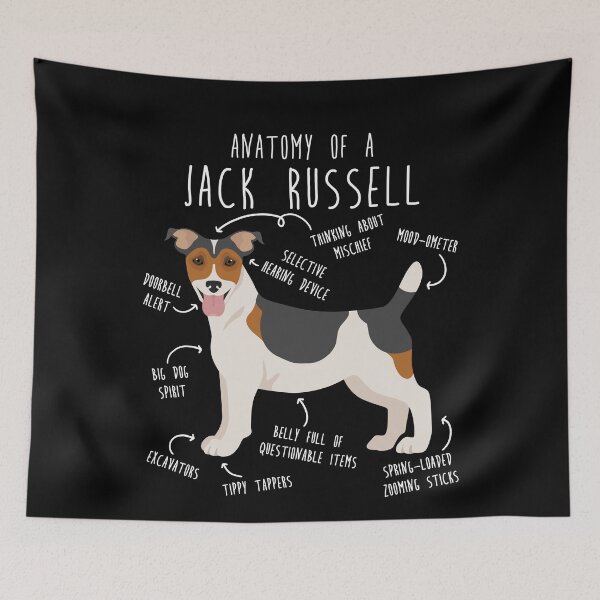Item preview, Jack Russell Terrier Dog Anatomy designed and sold by Clara Hollins.