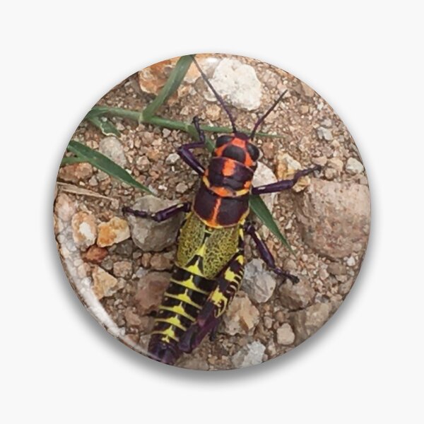 Item preview, Real Alebrije cricket  designed and sold by RDLT.