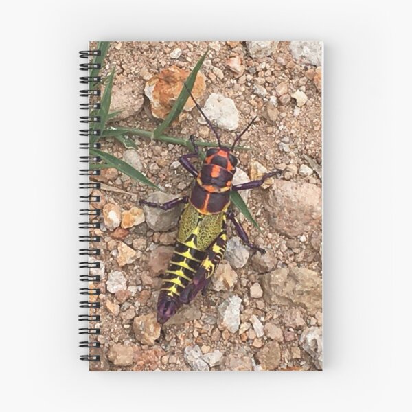 Aperçu de l'œuvre Alebrije de cricket royal créée et vendue par RDLT.