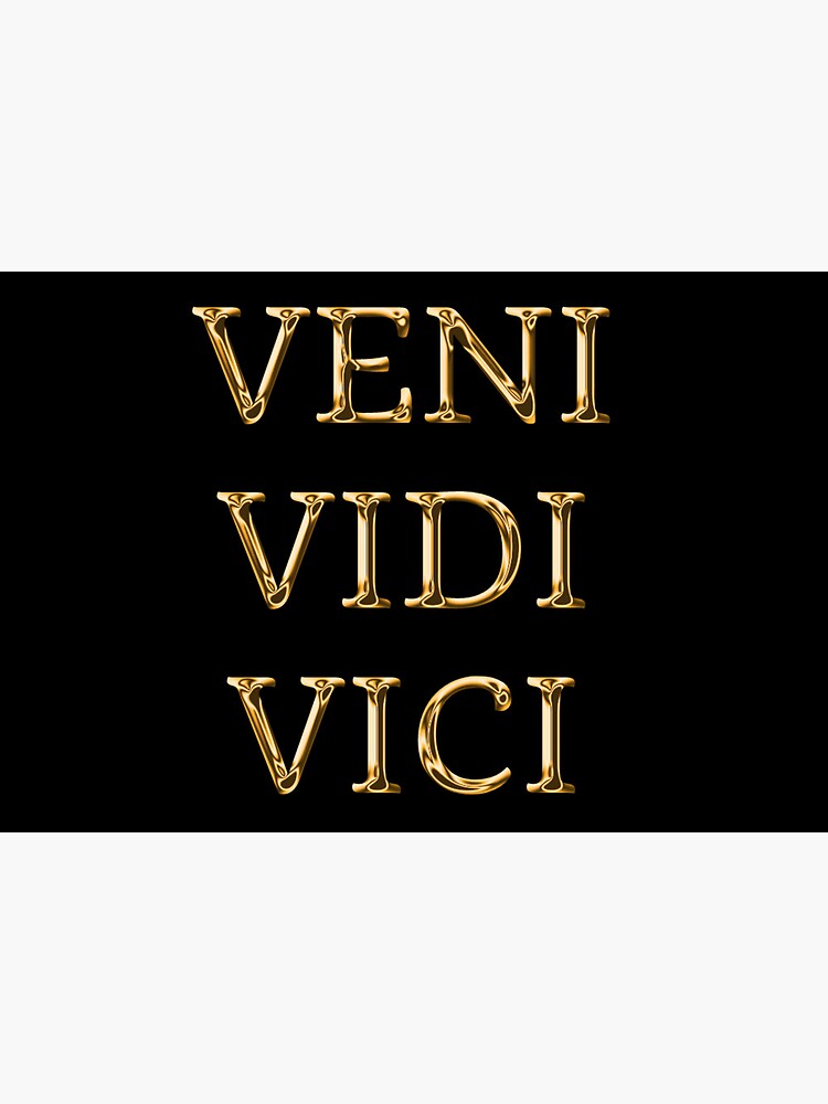 Veni, Vidi, Vici - Dictionary Definition | Art Board Print