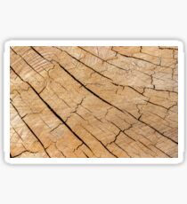 Shattered Wooden Log - Alternative III Sticker