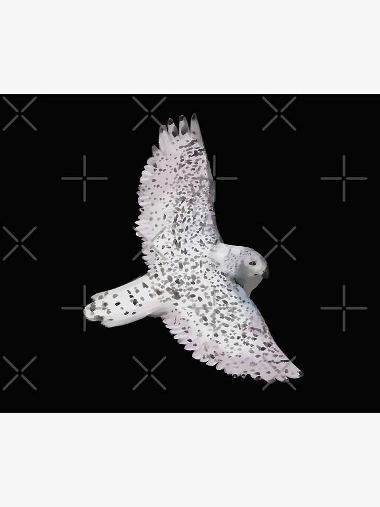 Snowy owl flying