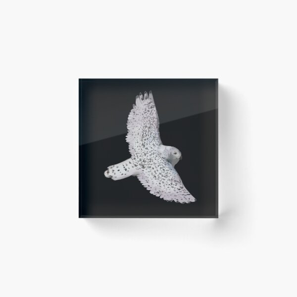 Item preview, Snowy owl flying designed and sold by xSnoozyx.