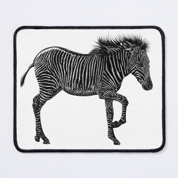 Item preview, Grevy's zebra foal illustration designed and sold by LorenDowding.