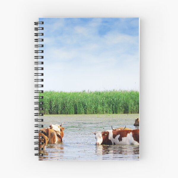 Aperçu de l'œuvre Scène de ferme avec des vaches sur l'abreuvoir créée et vendue par goceris.