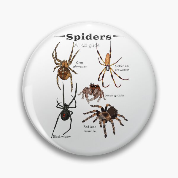 Item preview, Spiders: a field guide designed and sold by Desertspiceart.
