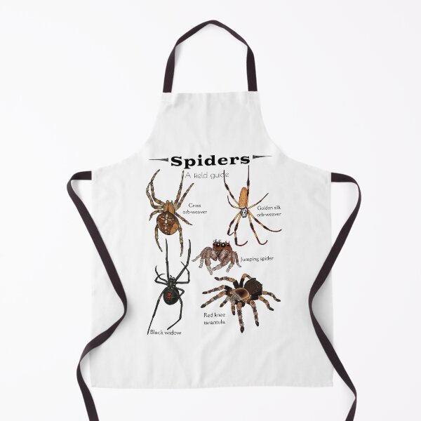 Item preview, Spiders: a field guide designed and sold by Desertspiceart.
