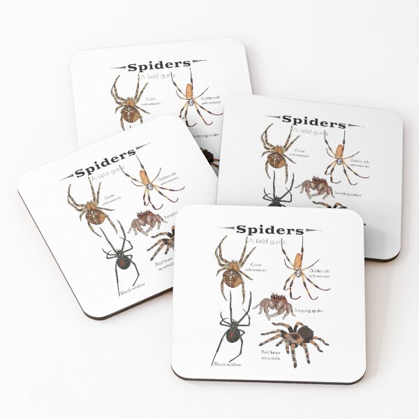 Item preview, Spiders: a field guide designed and sold by Desertspiceart.