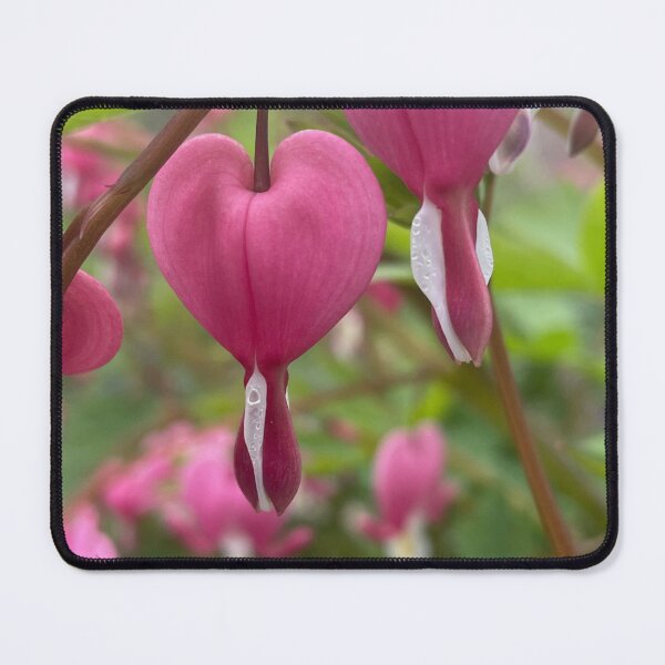 Item preview, Bleeding Hearts designed and sold by Pisces-Pics.