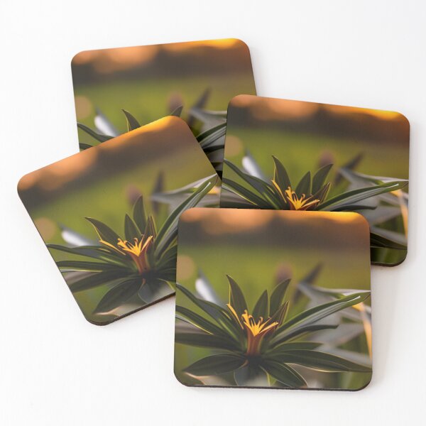 Item preview, Dark flower in the sunset designed and sold by BGM by AI.