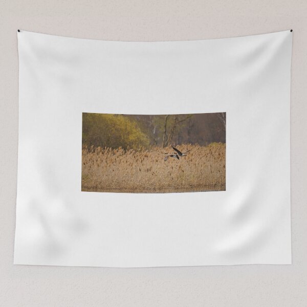 Item preview, Gone on Vacation designed and sold by fototaker Tony.