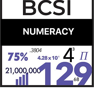 Artwork thumbnail, Numeracy! by BCSI