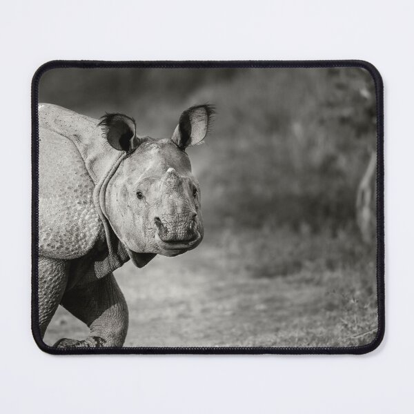 Item preview, Gentle Gaze designed and sold by Puttaswamy Ravishankar.
