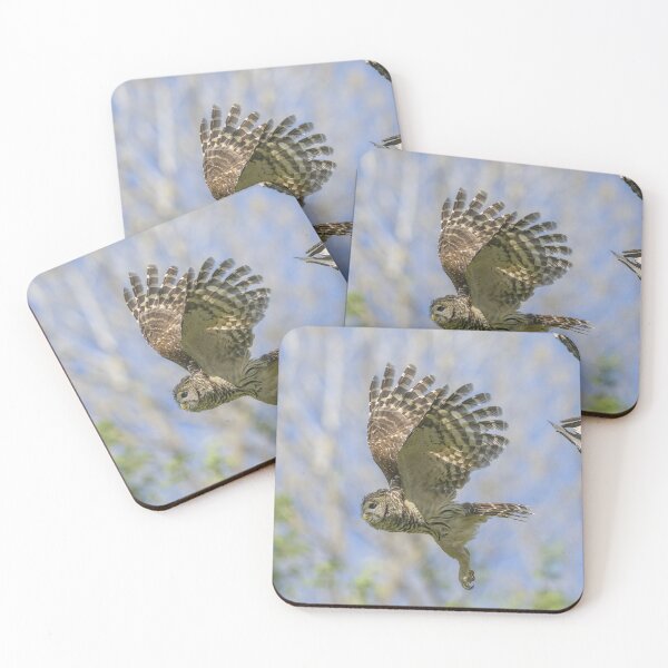 Item preview, Formidable Fangs of a Mama Barred Owl designed and sold by Puttaswamy Ravishankar.