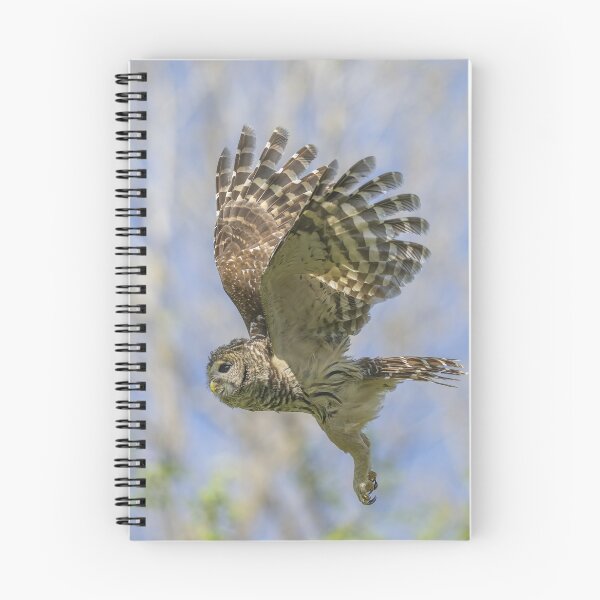Item preview, Formidable Fangs of a Mama Barred Owl designed and sold by Puttaswamy Ravishankar.