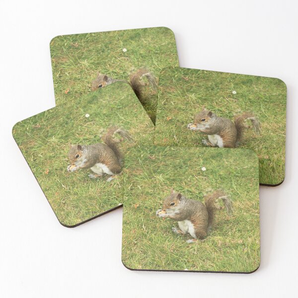 Item preview, Cute squirrel designed and sold by BattaAnastasia.