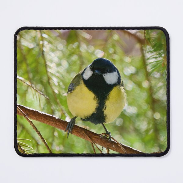 Item preview, In the morning sun. Great tit designed and sold by Jouko Lehto Photography.