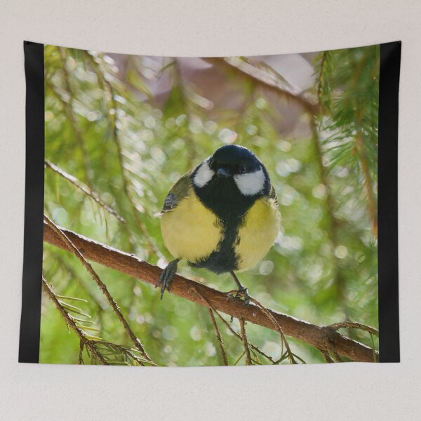 Item preview, In the morning sun. Great tit designed and sold by Jouko Lehto Photography.