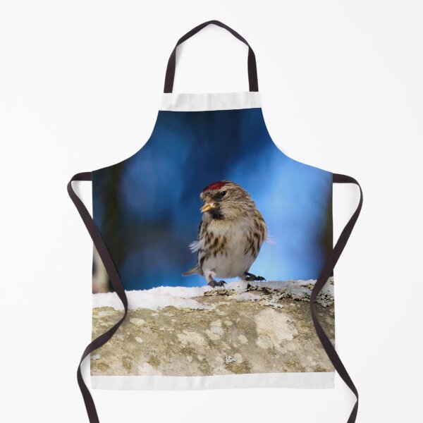 Item preview, The brave one. Mealy redpoll designed and sold by Jouko Lehto Photography.