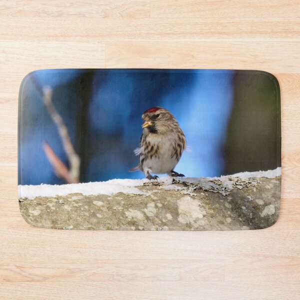 Item preview, The brave one. Mealy redpoll designed and sold by Jouko Lehto Photography.