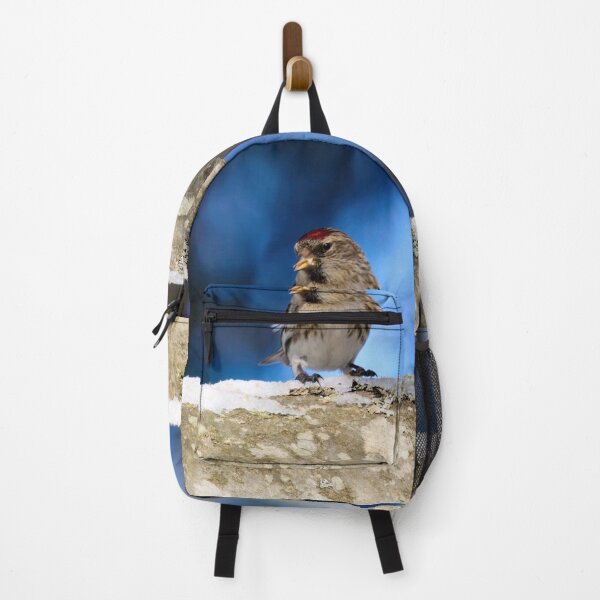 Item preview, The brave one. Mealy redpoll designed and sold by Jouko Lehto Photography.