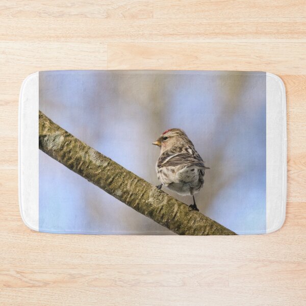 Item preview, Standing strong. Mealy redpoll designed and sold by Jouko Lehto Photography.