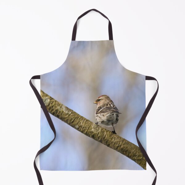 Item preview, Standing strong. Mealy redpoll designed and sold by Jouko Lehto Photography.