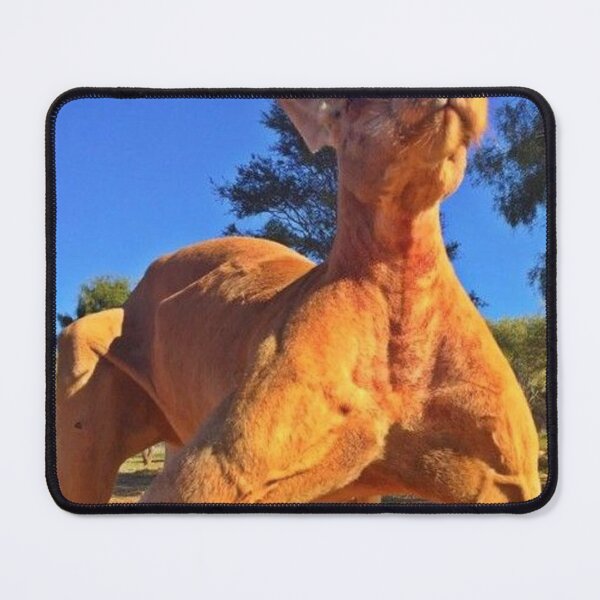 Item preview, pumped up kangaroo meme designed and sold by TheFeduk1luv.