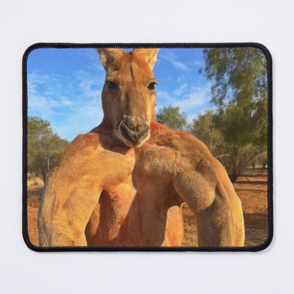 Item preview, pumped up kangaroo meme designed and sold by TheFeduk1luv.