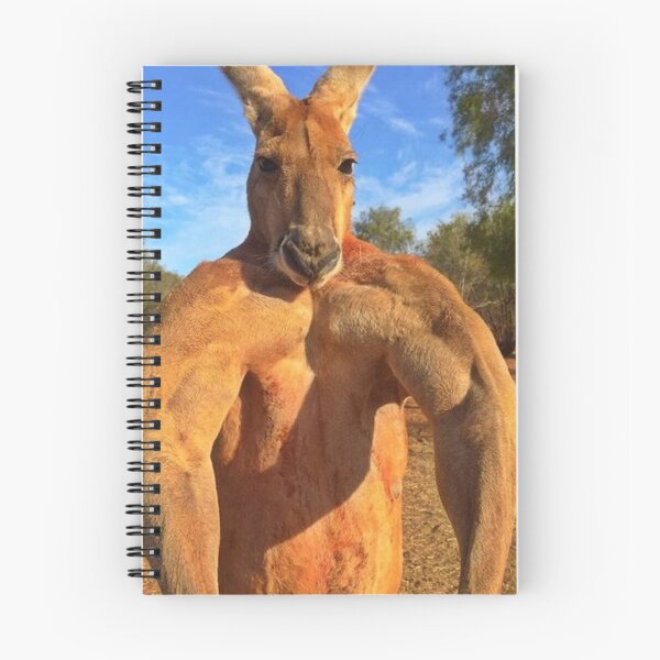 Item preview, pumped up kangaroo meme designed and sold by TheFeduk1luv.