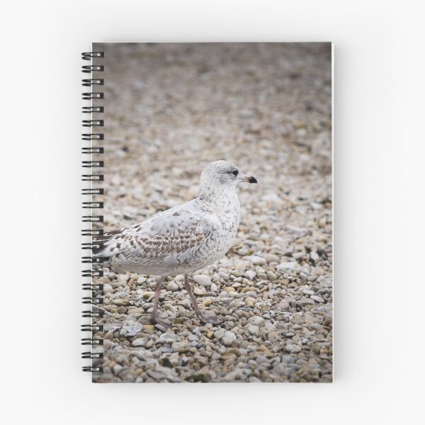 Item preview, Gull on the rocks designed and sold by LittleRedLens.