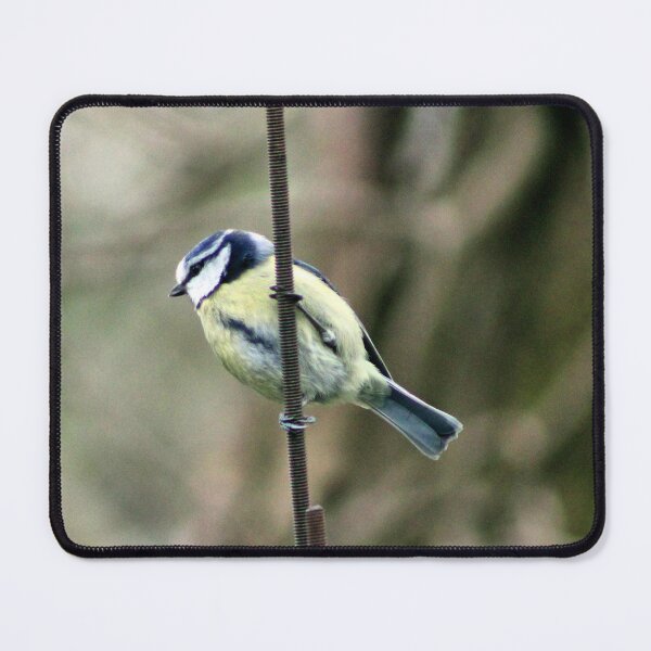 Item preview, perching designed and sold by KathleenDawson.
