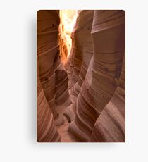 Zebra Slot II Metal Print