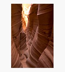 Zebra Slot II Photographic Print