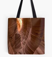 Zebra Slot II Tote Bag