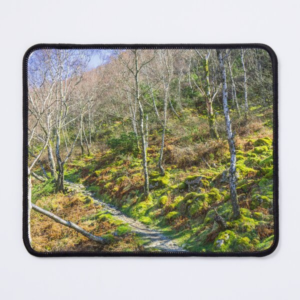 Item preview, Woodland Path in the Lake District designed and sold by MichaelBShannon.