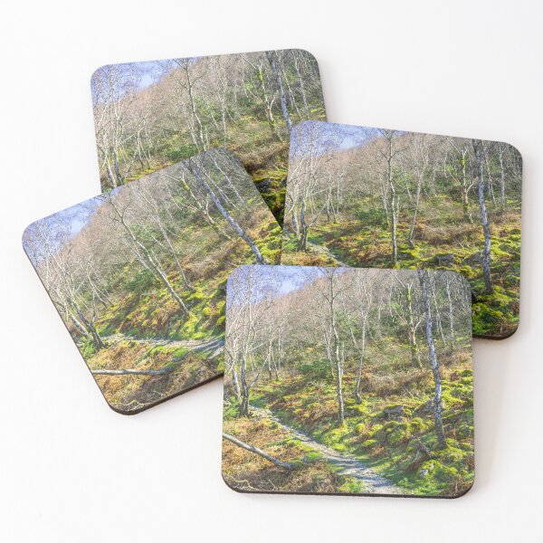 Item preview, Woodland Path in the Lake District designed and sold by MichaelBShannon.