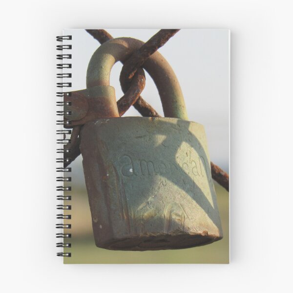Item preview, Love Lock  designed and sold by Tonia Delozier's Photography .