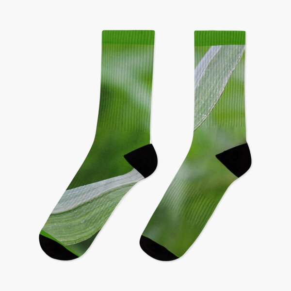 Item preview, Blade of grass leaf designed and sold by kall3bu.