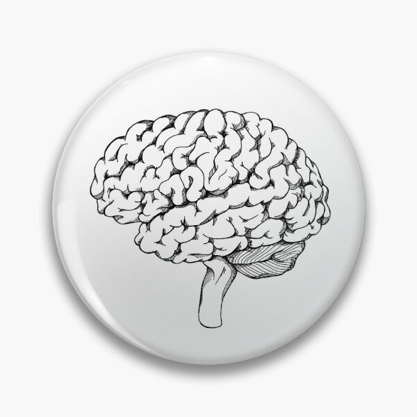 Item preview, Anatomical ink drawing of the human brain designed and sold by SophsSketchpad.