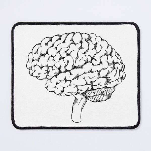 Item preview, Anatomical ink drawing of the human brain designed and sold by SophsSketchpad.