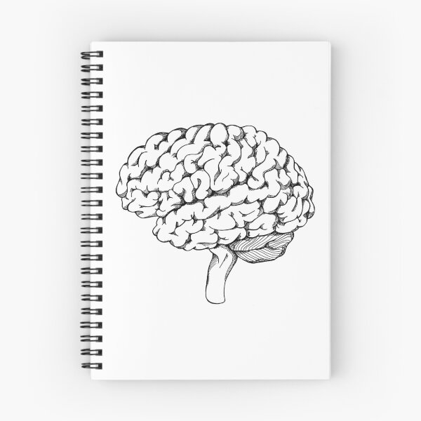 Item preview, Anatomical ink drawing of the human brain designed and sold by SophsSketchpad.
