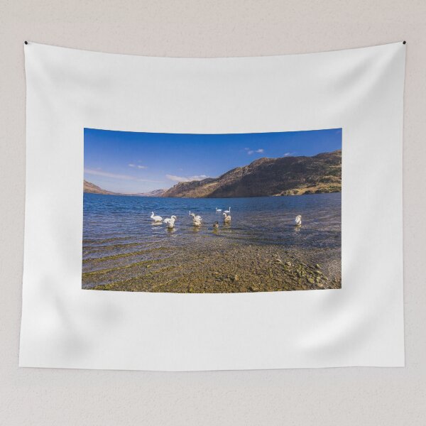 Item preview, Swans congregate on Ullswater in the English Lake District. designed and sold by MichaelBShannon.