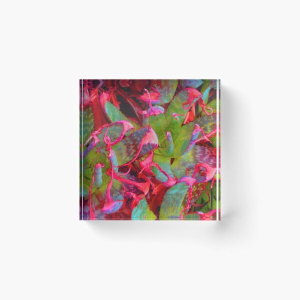 Item preview, colorful agaves * designed and sold by DAdeSimone.