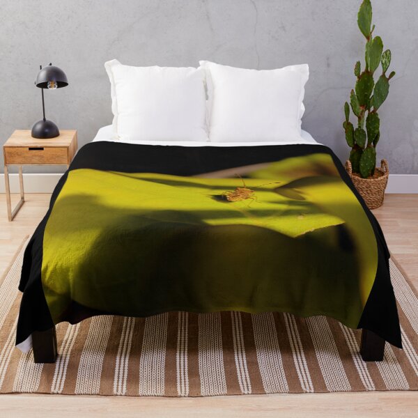 Item preview, Beetle on a leaf designed and sold by kall3bu.