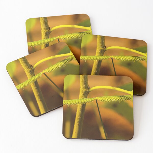 Item preview, Frayed leaf looks like a centipede. designed and sold by kall3bu.